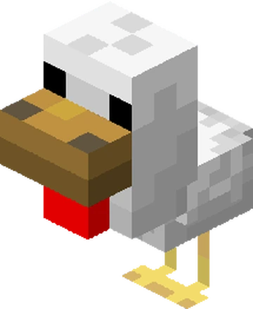 Baby chicken